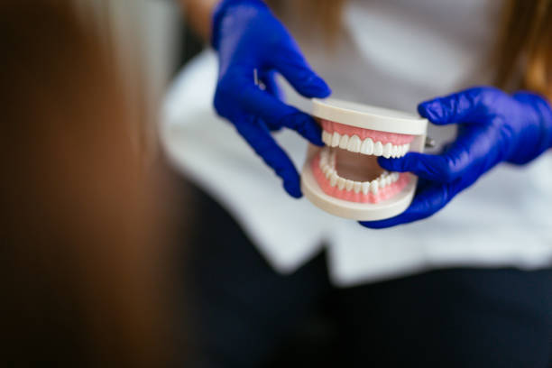 Professional Holistic Dental Care Services in Maryville, MO